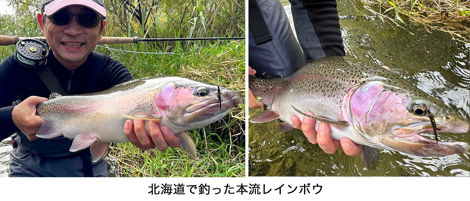 北海道の本流レインボウ